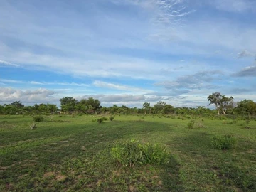 Commercial Property