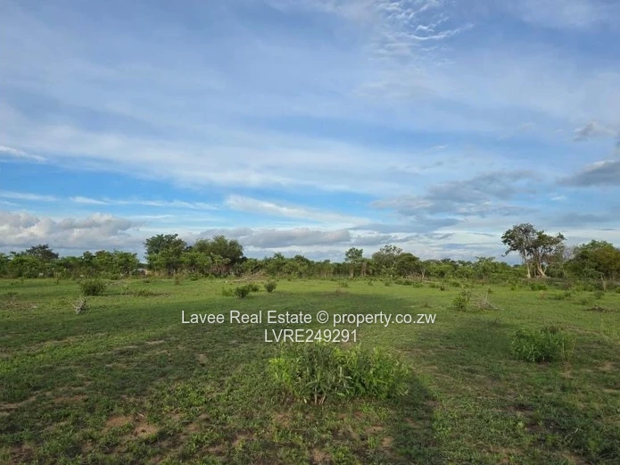 PRIME PRIVATE SCHOOL STAND HALFWAY in KADOMA 1.96ha