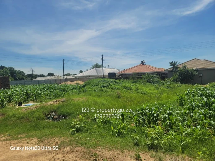 Granary phase 4 stand for sale