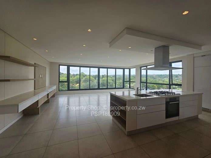 Brand new world class luxurious penthouse in Sandton. 