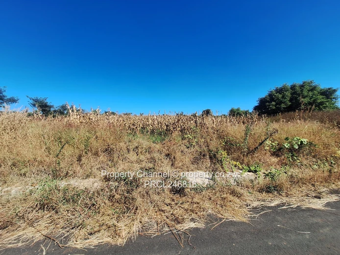 Your Dream Home Starts Here . . .
