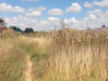 Stands & Residential Land