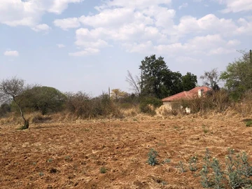 Farm & Agricultural Land