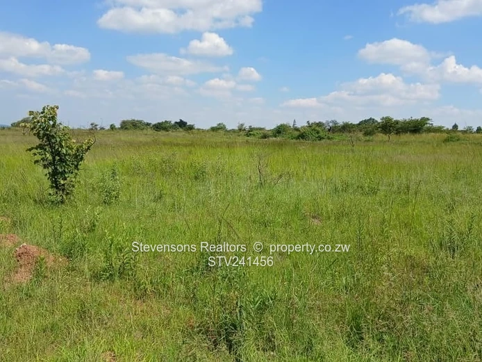 Nyabira Residential Stands, Luna 