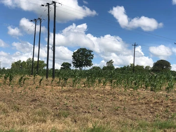 Commercial & Industrial Land