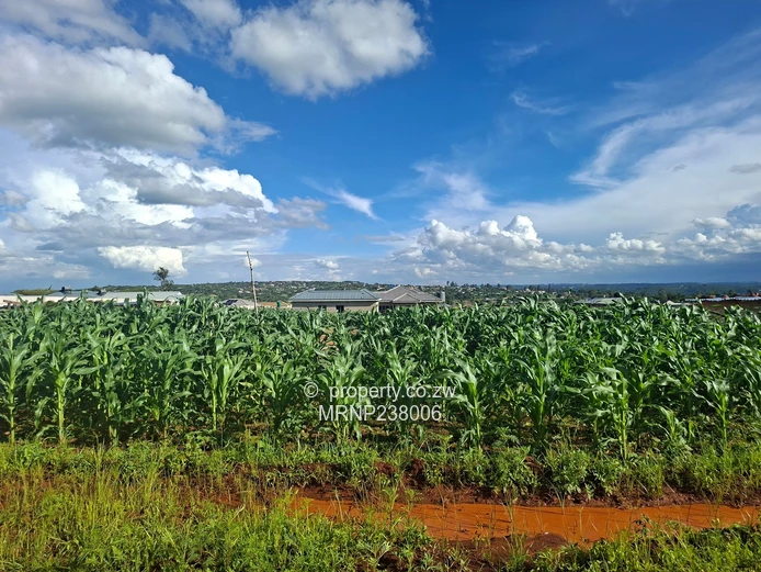 Crowhill Sawara Hills stand with slab for sale (Sole Mandate)