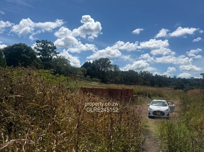 Prime 3,700m² Greystone Park Stand — Subdivision Ready