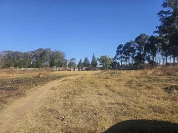 Commercial & Industrial Land