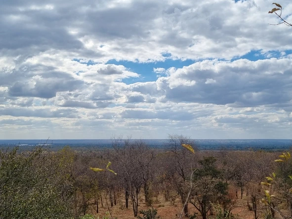 Commercial & Industrial Land