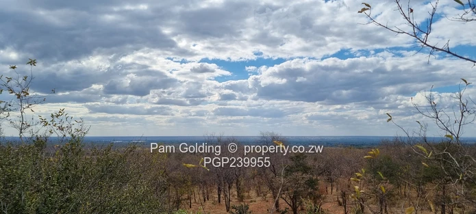 Prime Development Land on the Victoria Falls Game Corridor (Sole Mandate)