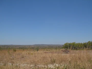 Farm & Agricultural Land