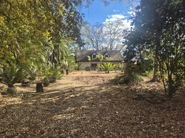 Stands & Residential Land