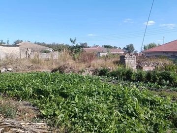 Land