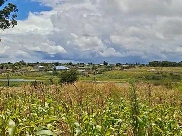 Farm & Agricultural Land