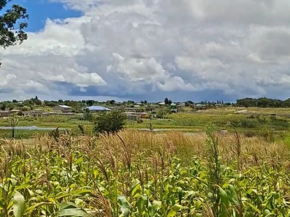 Farm & Agricultural Land