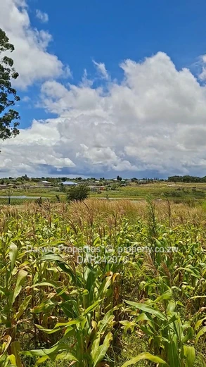 Waterfront Agricultural Land With Several Development Options 