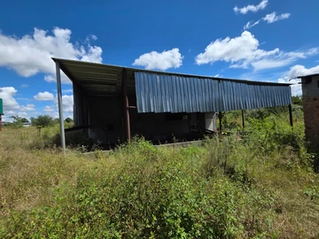 Farm & Agricultural Land