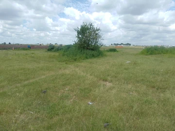 Commercial & Industrial Land