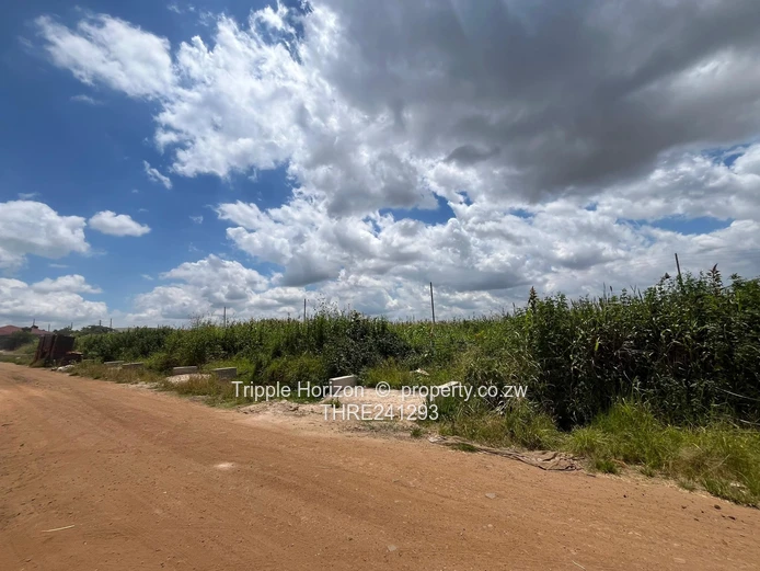 Budiriro 4 stands for sale