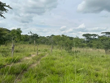 Farm & Agricultural Land