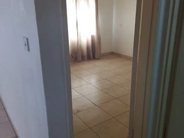 Flat & Apartment