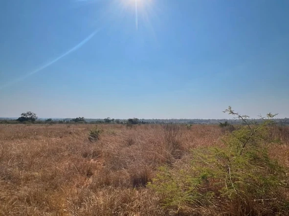 Farm & Agricultural Land