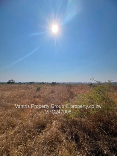 18Ha and 55Ha Mhangura River Ranch plots for sale !! (Sole Mandate)