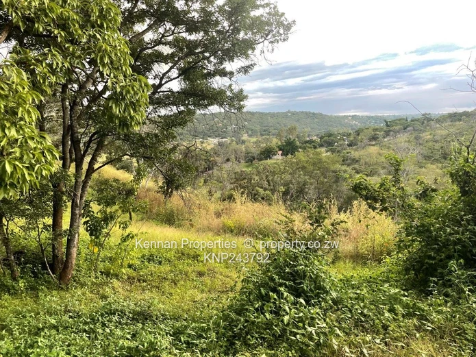 Helensvale - Just listed  - 2 stands for sale with views  	