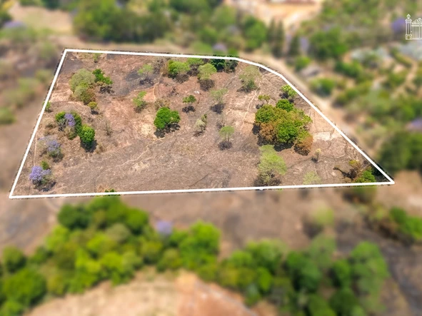 Land