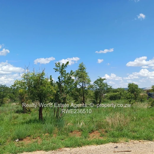 Masvingo Clipsham Stand For A School 