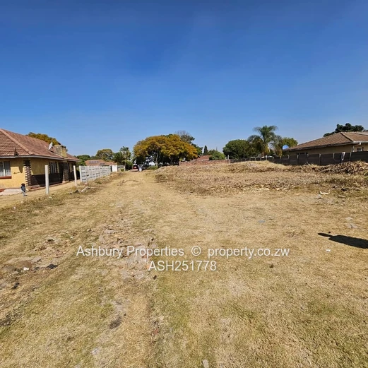 Great Investment Opportunity in Belverdere