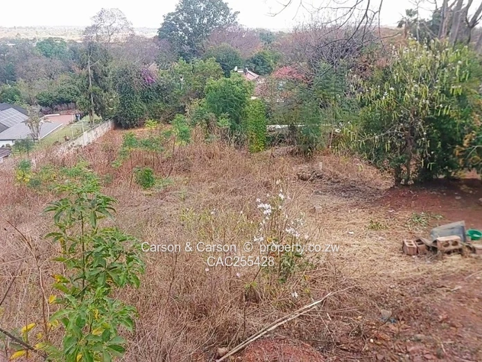 Land Developer’s Delight 