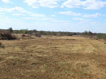 Farm & Agricultural Land