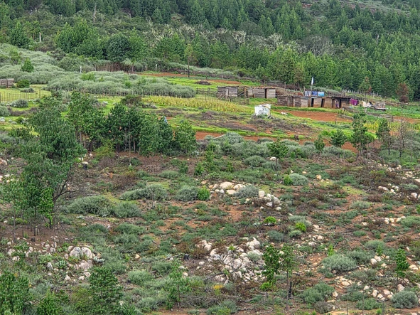 Commercial & Industrial Land