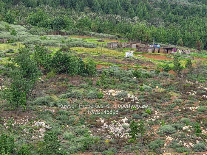 Prime 4.2ha Commercial Land with Panoramic Nyanga Views