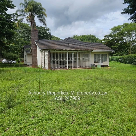 Compact Cosy Rental House Readily Available (Sole Mandate)