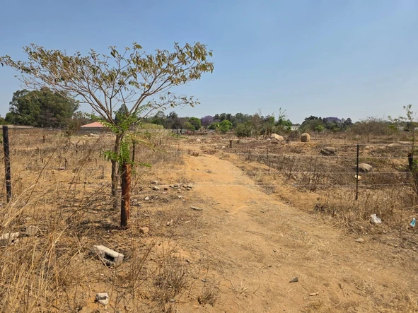 Stands & Residential Land