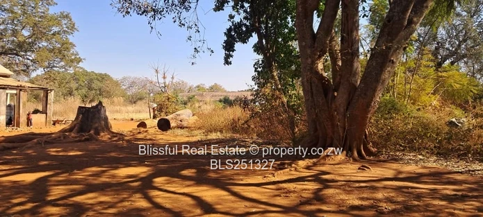 1.18 Hectares Investment Property For Sale - Banket