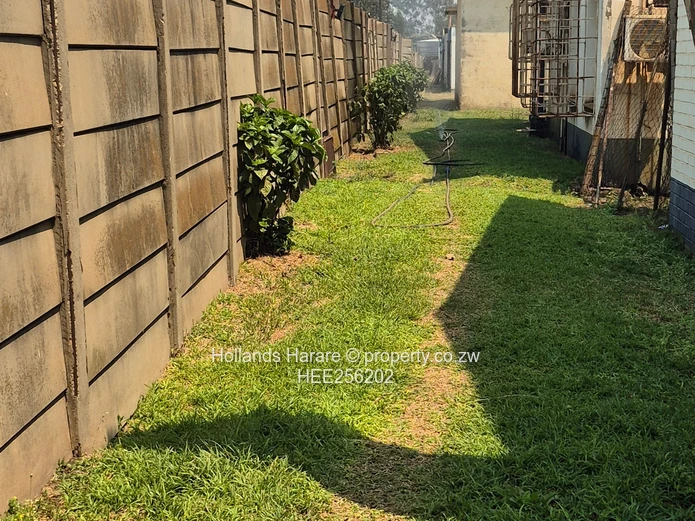 Massive Property In Willowvale
