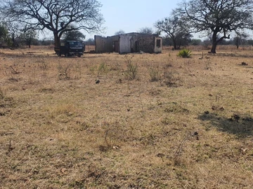 Farm & Agricultural Land