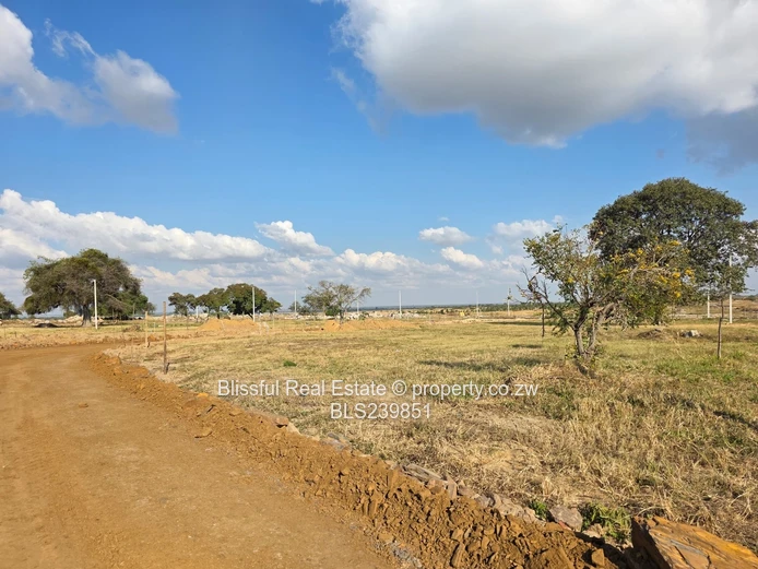 Hatfield Stands For Sale