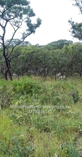 Expansive Farm Land for Sale in Chivhu