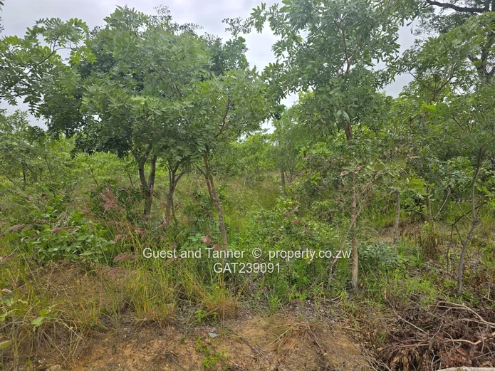 2159sqm Marondera low density residential stand for sale