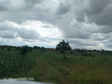 Commercial & Industrial Land