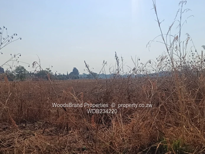 Tynwald South Land For Sale