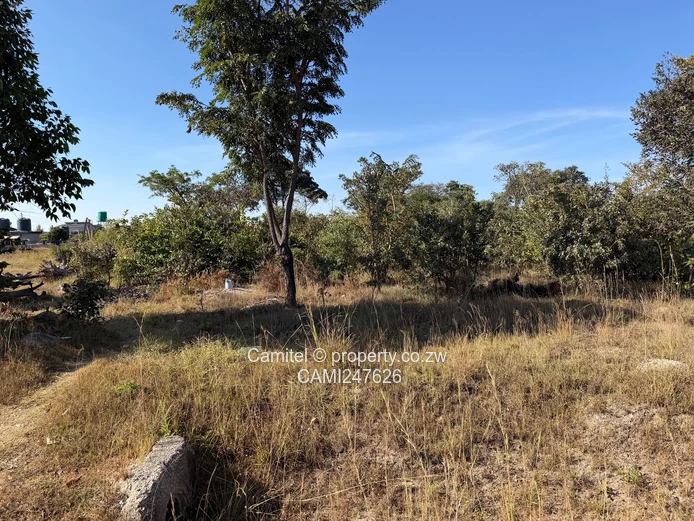 2030m² Arlington Estate Stand on Quiet Tarred Street – Water & Access Control (Sole Mandate)