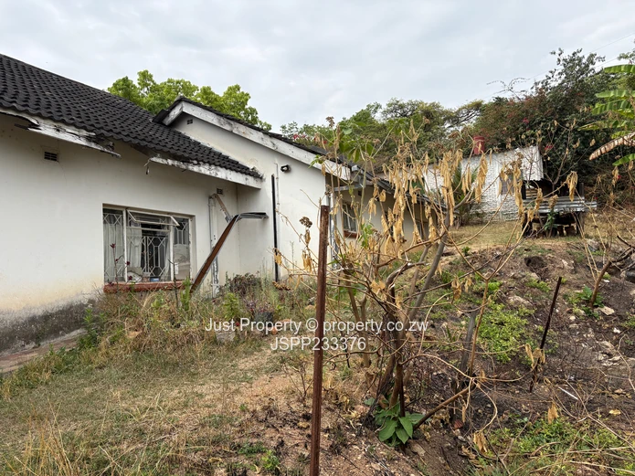 Renovator’s Delight