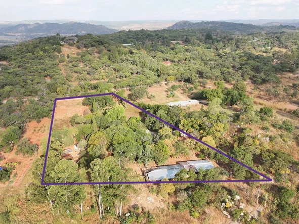 Farm & Agricultural Land