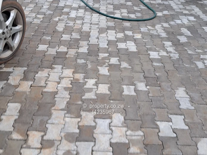 Arlington 4 bed house to Rent 