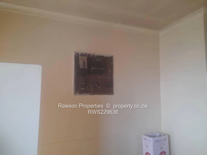 Investment opportunity! (Sole Mandate)